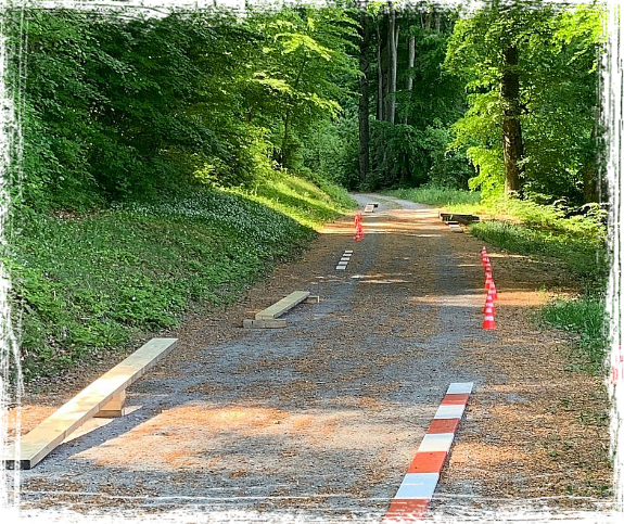 Fahrtechnikkurs Bike Fahrtechnikkurs